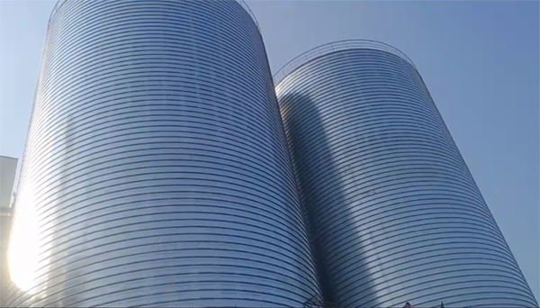 万荣2座混凝土高架卷板仓